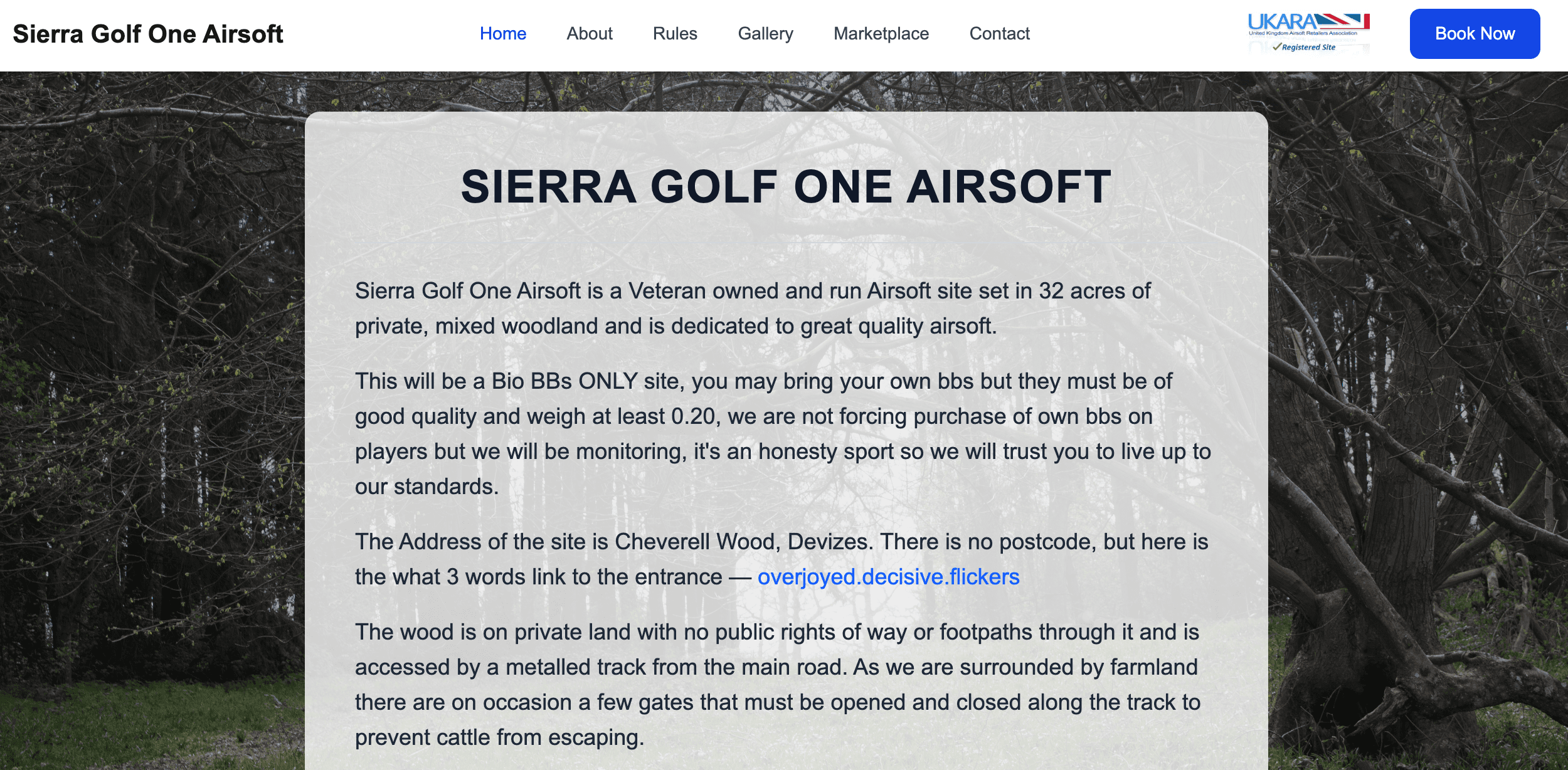 Sierra Golf One Airsoft